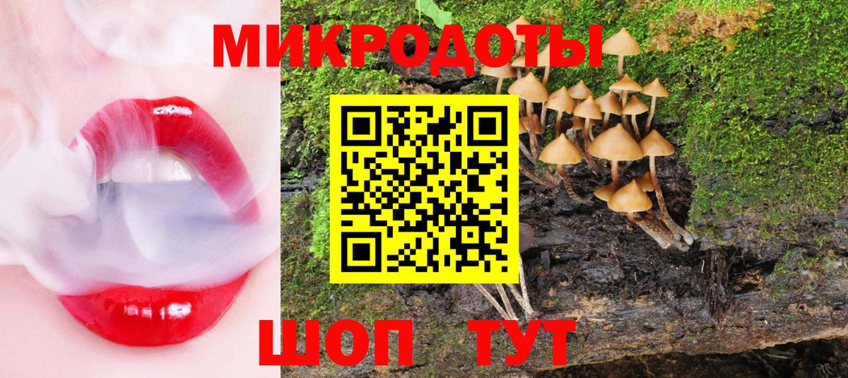 Псилоцибиновые грибы Psilocybe  Вход с VPN  Озёрск 